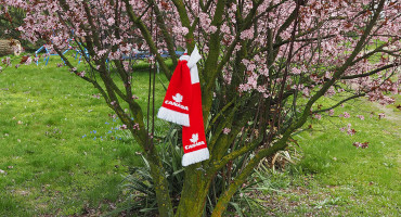 How to hang soccer scarves?